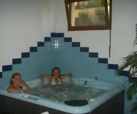 Ana Wellness S * Ρόβινι